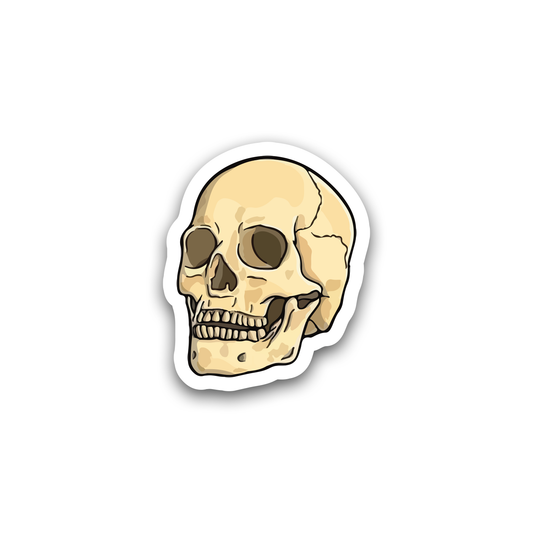 Skull Sticker
